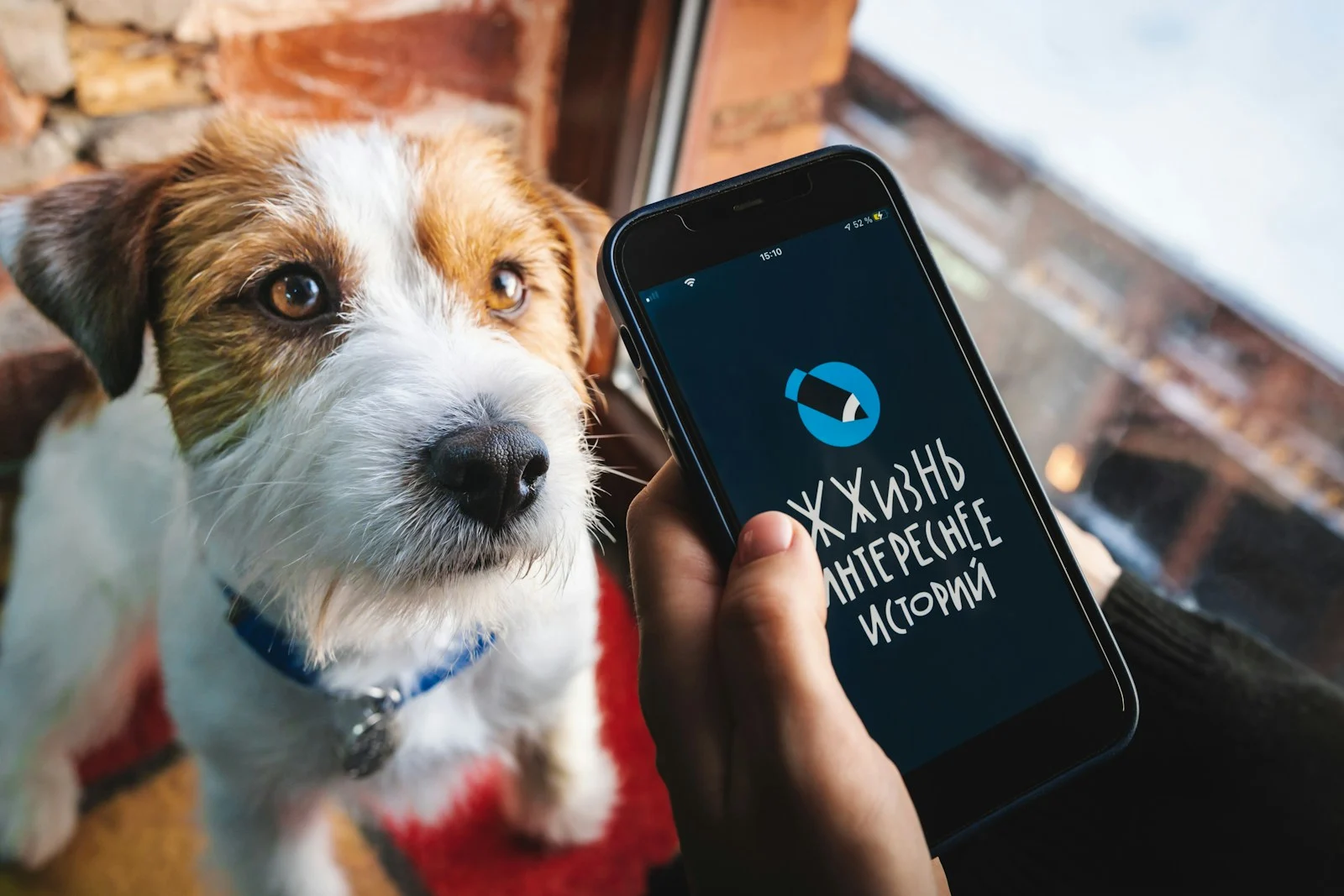 iPhone 向けの最高の犬用アプリケーション (2026 年ガイド)